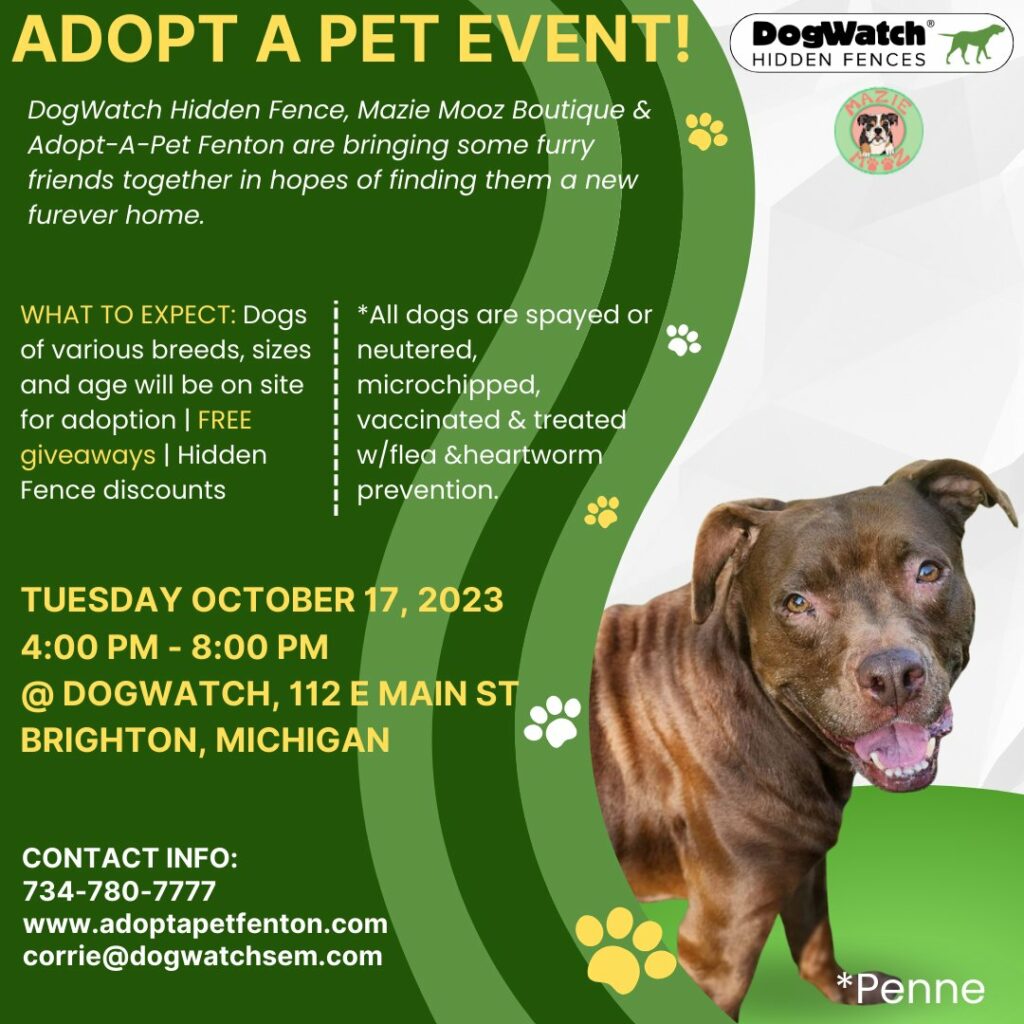 Adopt-A-Pet Event in Brighton, MI with DogWatch of Southeast Michigan