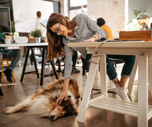 Dog-Friendly Office: FIVE Benefits Of Dogs In A Work Environment!