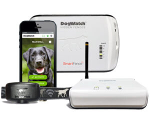 SmartFence System – Unlock the Benefits for Your Pet’s Safety