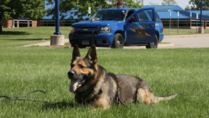 Michigan State Police canine officer